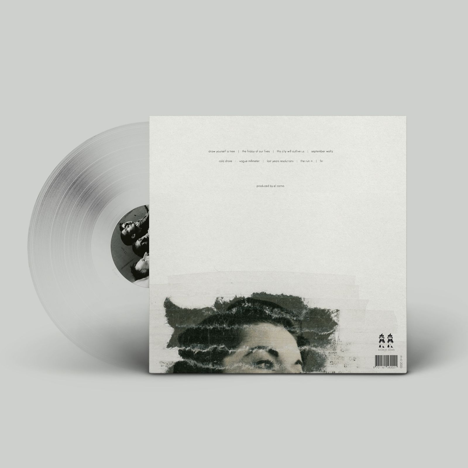audiotransparent nevland vinyl